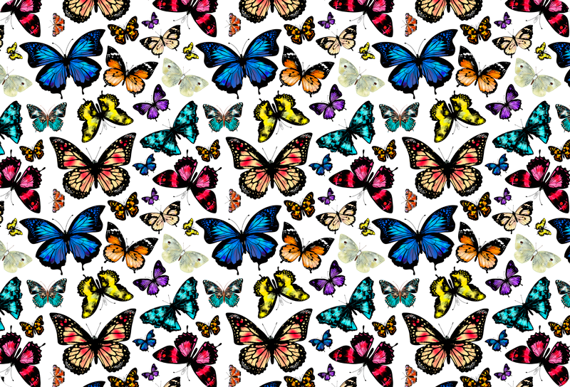 Beautiful and colorful butterflies animal vinyl carpet - TenStickers