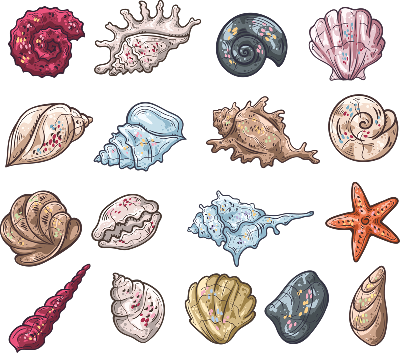 Animal vinyl carpet seashell drawings - TenStickers