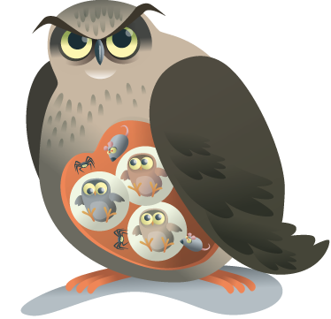 Animal vinyl carpet mother owl - TenStickers