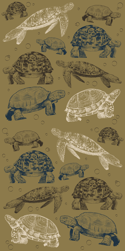 Animal vinyl carpet beige background turtles - TenStickers