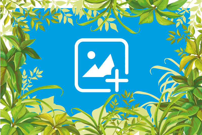 Animal vinyl carpet cat among greenery - TenStickers