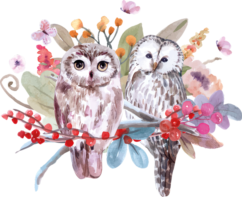 Animal vinyl carpet owls in nature - TenStickers