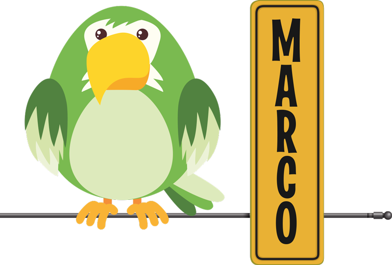 Animal vinyl carpet wild parrot design with name - TenStickers
