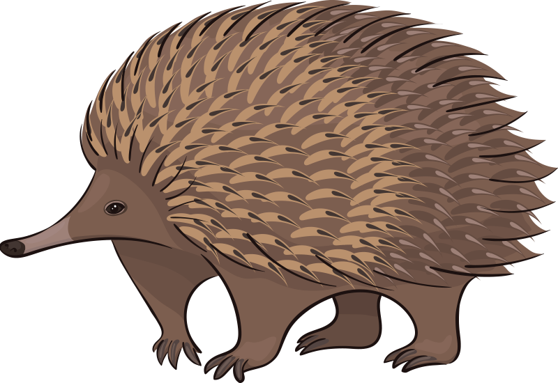 Animal vinyl carpet friendly hedgehog design - TenStickers