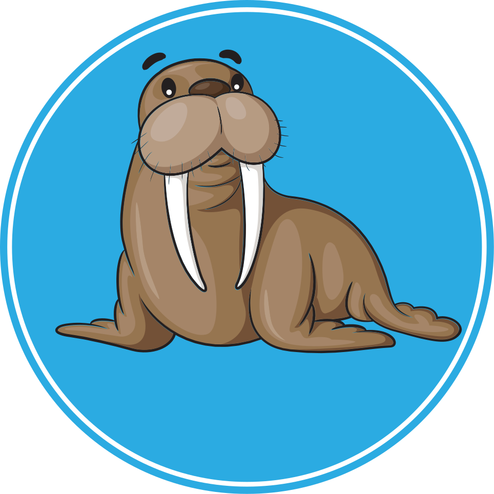 Cute walrus character animal vinyl carpet - TenStickers