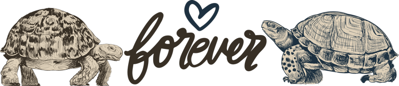 Animal vinyl carpet turtles forever love quote - TenStickers