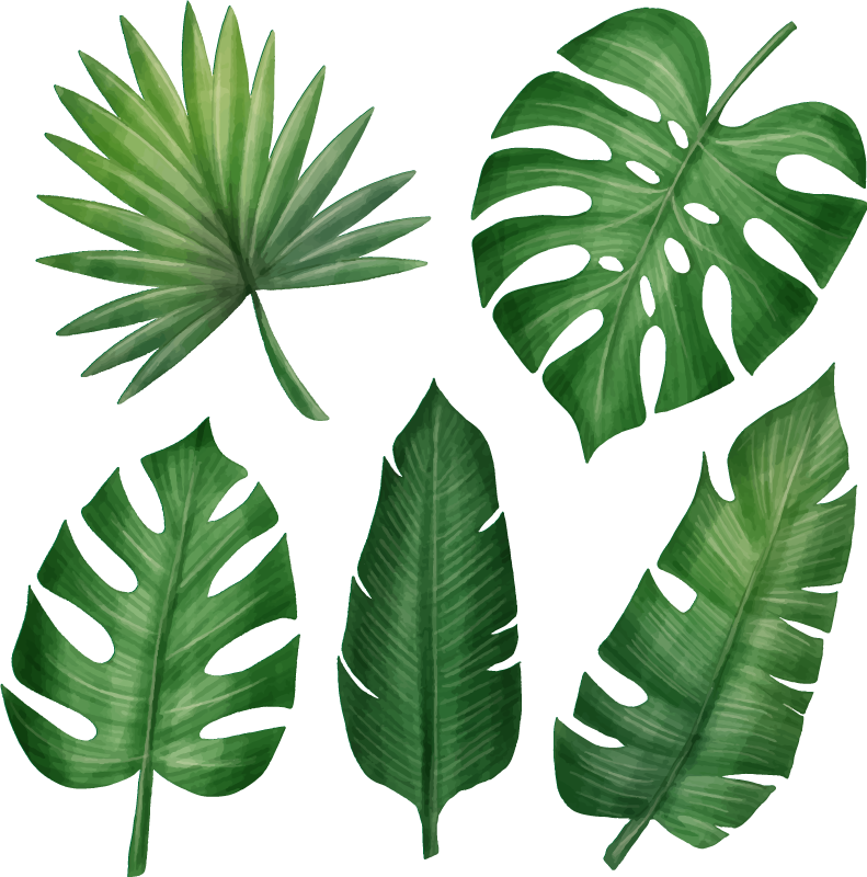 Floral vinyl carpet realistic tropical leaf collection - TenStickers