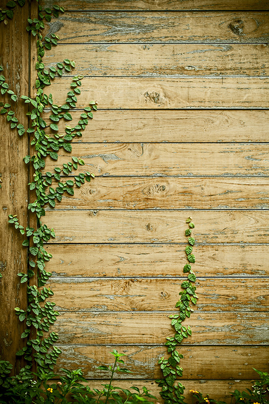 Floral vinyl carpet with vines on wood design - TenStickers