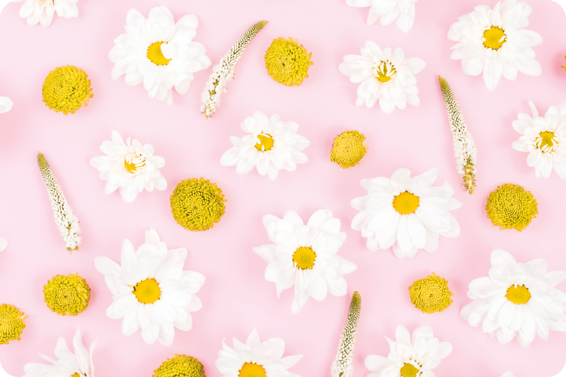 Floral vinyl carpet with colorful flowers - TenStickers
