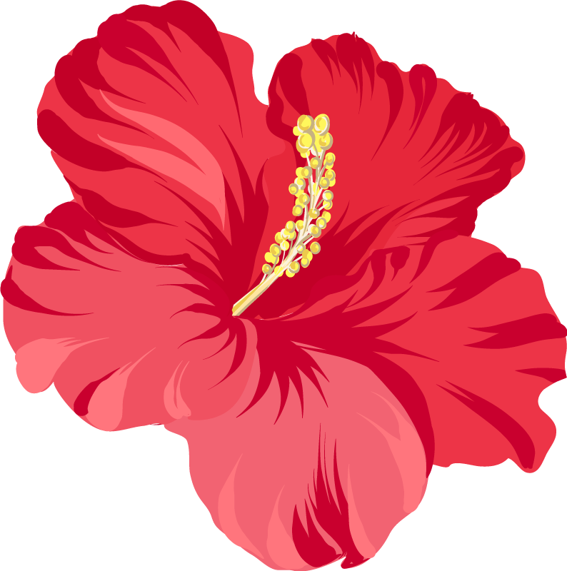 Floral vinyl carpet red hibiscus flower set - TenStickers