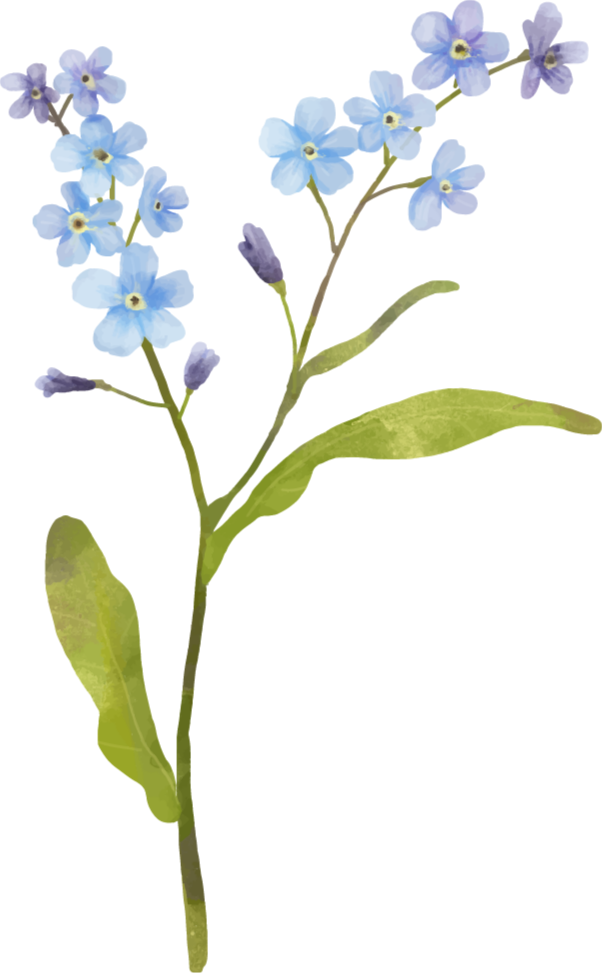 Floral vinyl carpet with elegant blue foliage - TenStickers