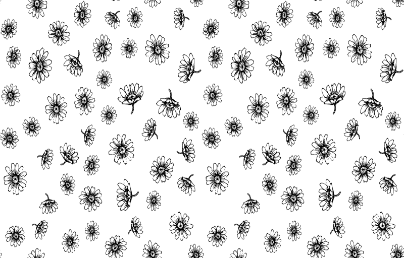 Floral vinyl carpet set outline daisy flowers - TenStickers