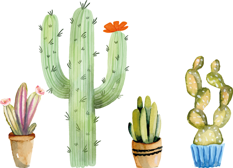 Dining room vinyl carpet cactus collection set - TenStickers