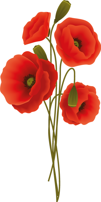 Delicate poppies bathroom vinyl carpet - TenStickers