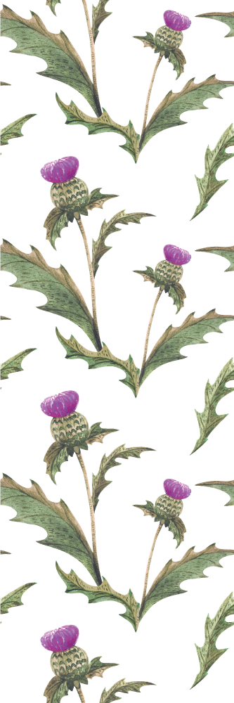 Bedroom vinyl carpet scottish thistles design - TenStickers