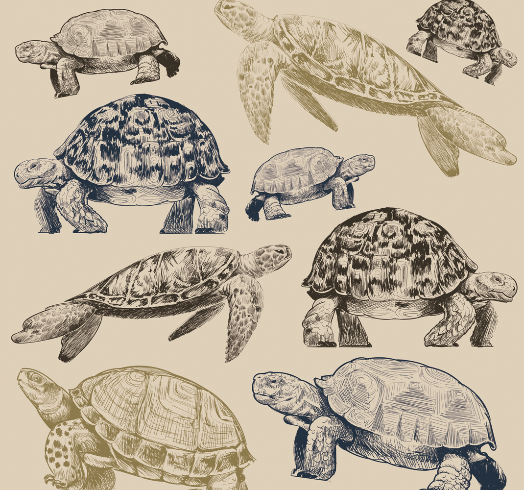 Turtles beige background bedroom vinyl carpet - TenStickers