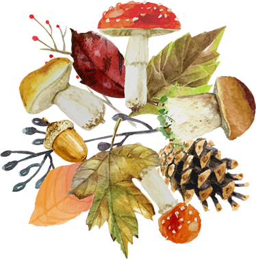 Nature vinyl carpet with forest leaves and fruits - TenStickers