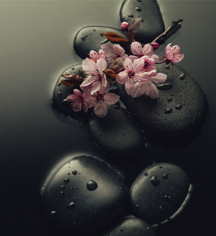 Nature vinyl carpet zen ambiance with stone for toilet - TenStickers