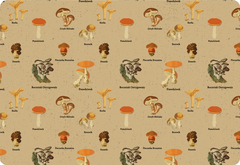 Nature vinyl carpet vintage mushroom varieties - TenStickers