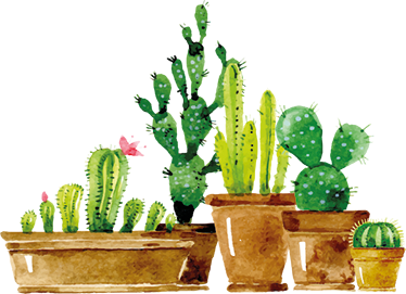 Floral vinyl carpet homemade cactus garden - TenStickers