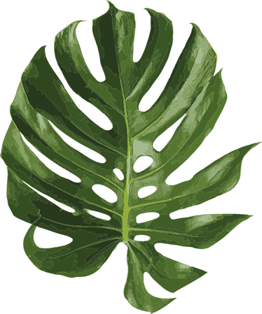 Floral vinyl carpet with delightful monstera leaf - TenStickers