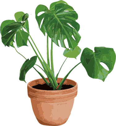 Floral vinyl carpet simple monstera pot - TenStickers