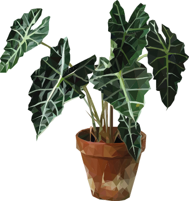 Floral vinyl carpet with geometric plant pot - TenStickers