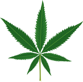 Floral vinyl carpet with marijuana leaf design - TenStickers