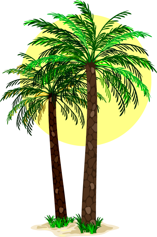 Tropical palm trees floral vinyl carpet - TenStickers