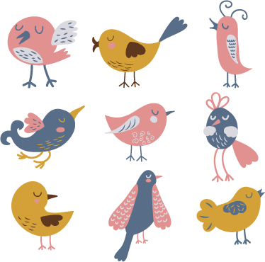Kids vinyl carpet nine bird sticker decal - TenStickers