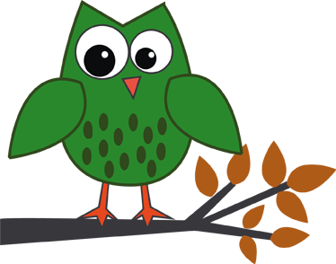 Kids vinyl carpet green owl on a branch - TenStickers