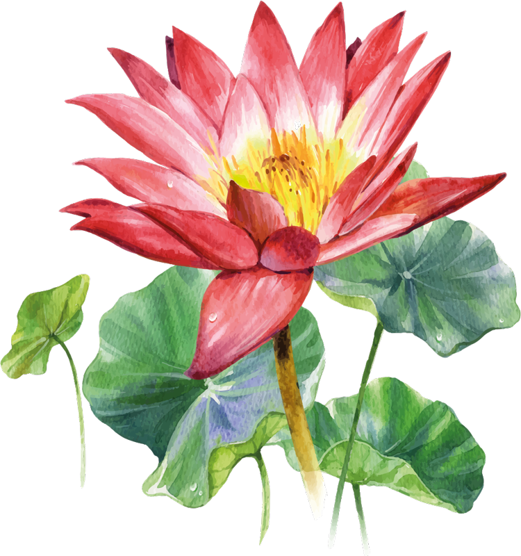 Bedroom vinyl carpet lotus watercolor illusion - TenStickers
