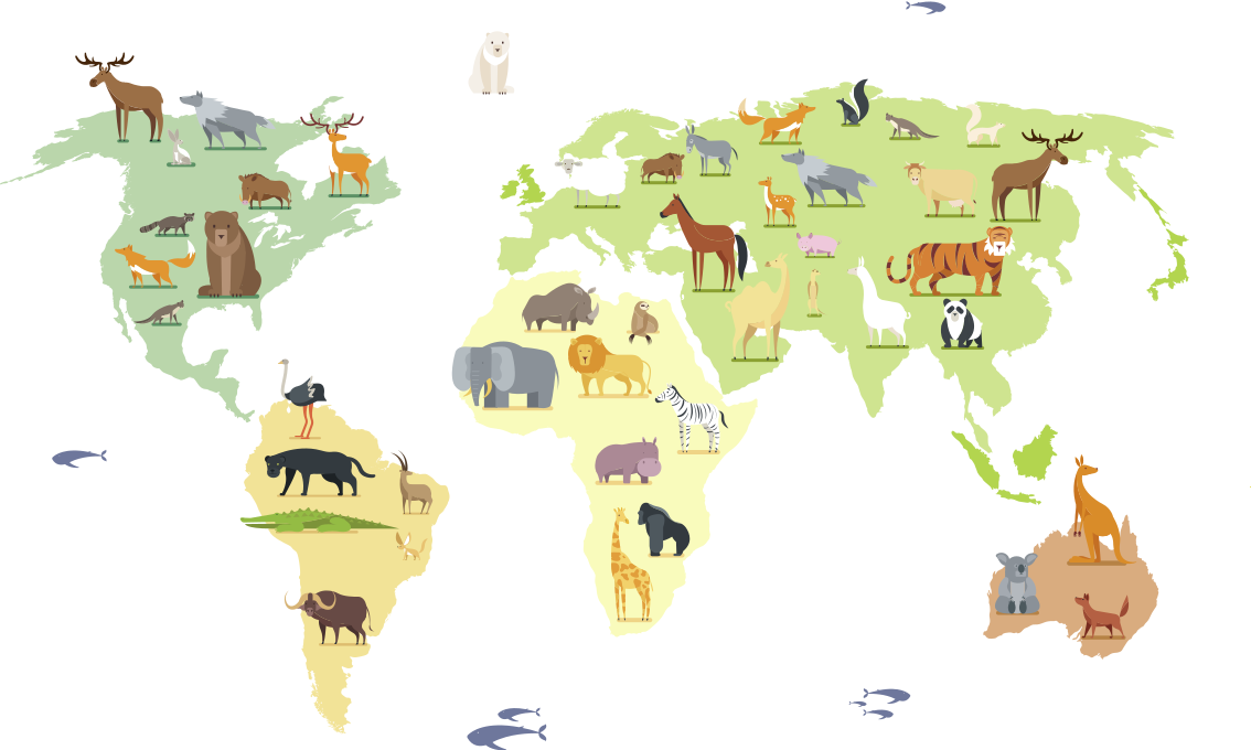 Bedroom vinyl carpet featuring colorful animals worldwide - TenStickers