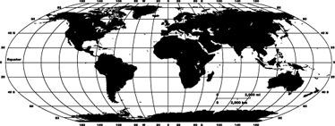 World map vinyl carpet monochrome world map decor - TenStickers