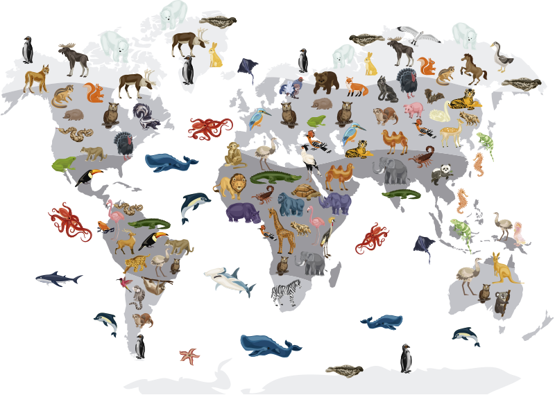 World map vinyl carpet nordic style world map rug - TenStickers