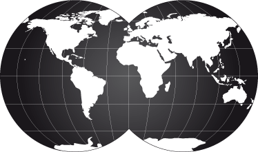 World map vinyl carpet double globe decor vinyl - TenStickers