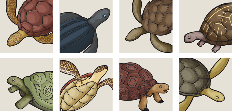 Bathroom vinyl carpet turtle design tiles - TenStickers