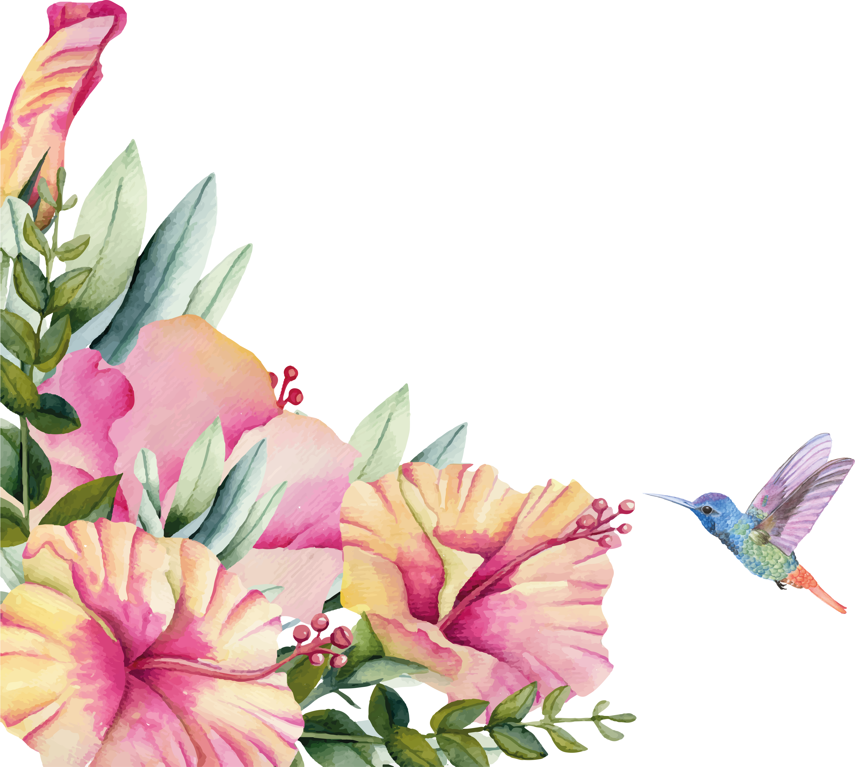 Bathroom vinyl carpet with hummingbird flowers - TenStickers
