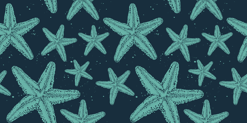 Bathroom vinyl carpet starfish bluetones design - TenStickers
