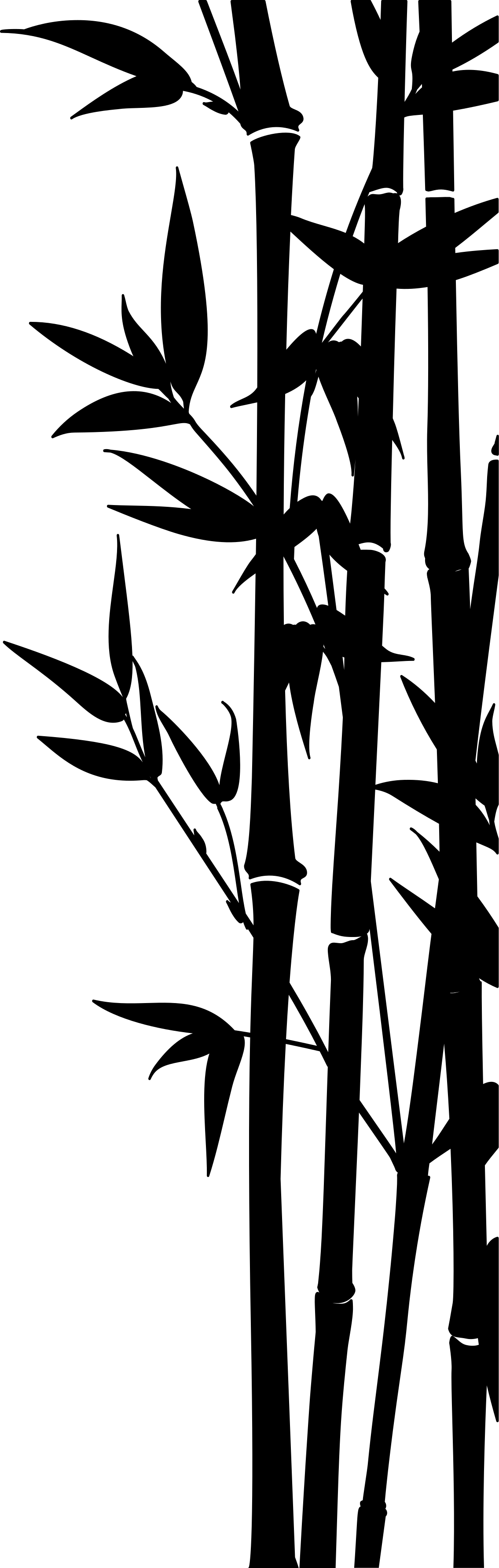 Bathroom vinyl carpet bamboo shower screen decal - TenStickers