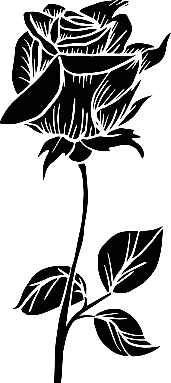 Bathroom vinyl carpet shower rose - TenStickers