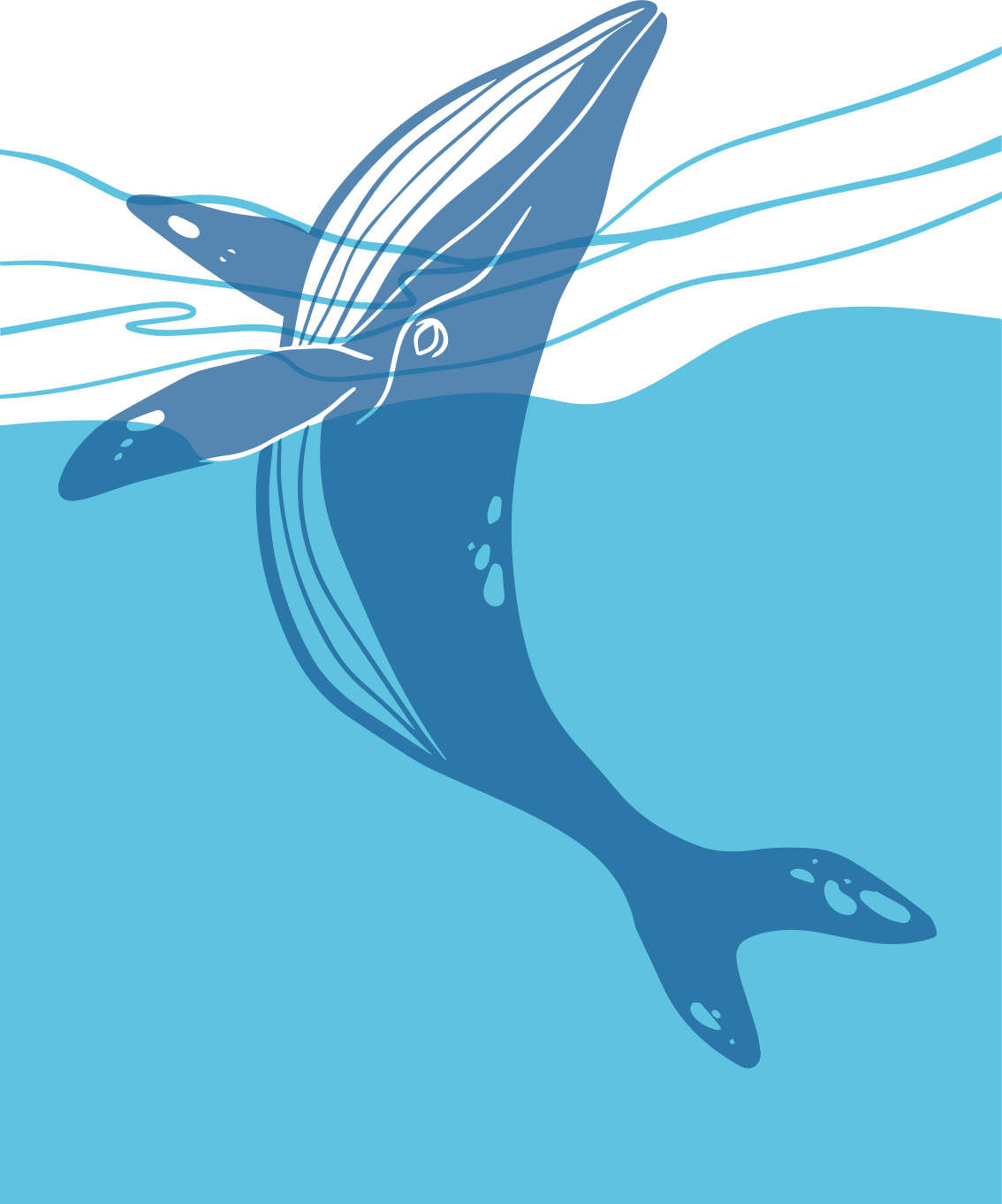 Bathroom vinyl carpet whale shower screen decals - TenStickers
