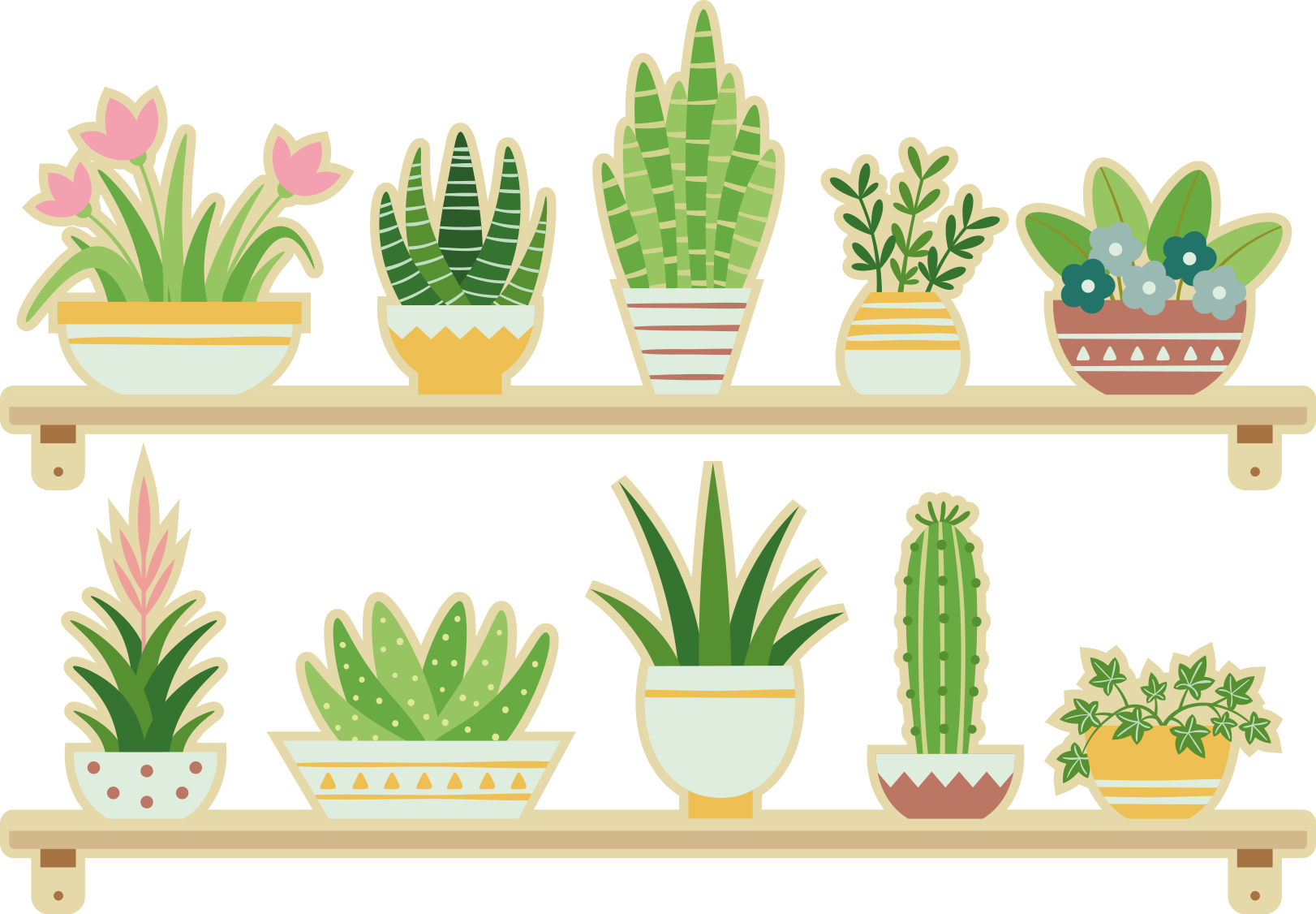 Kitchen vinyl carpet cactus plant set shelf - TenStickers