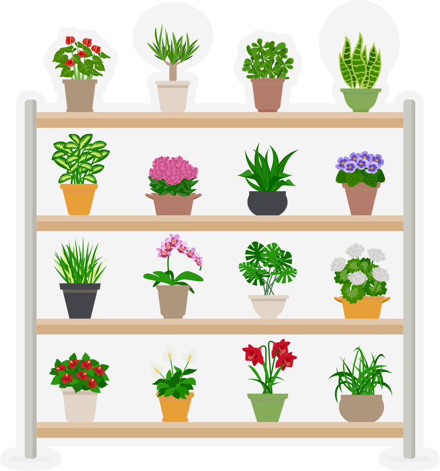 Kitchen vinyl carpet with houseplants on shelves - TenStickers