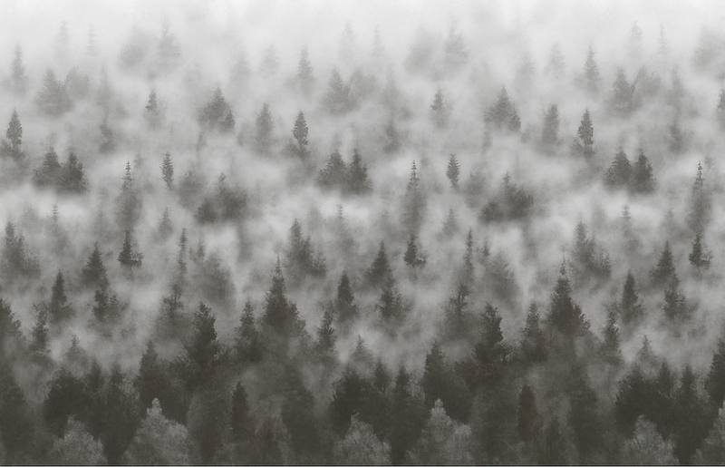 Bedroom vinyl carpet 3d foggy mysterious mountain - TenStickers