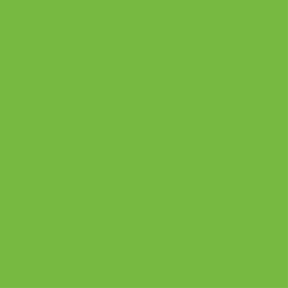Bedroom vinyl carpet green wardrobe cover - TenStickers
