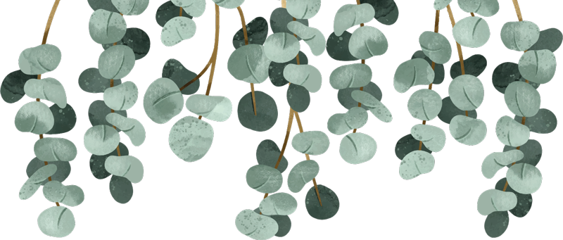 Bedroom vinyl carpet with hanging plants design - TenStickers