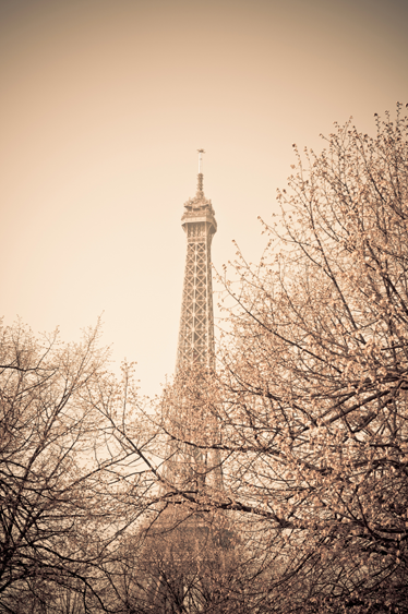 Bedroom vinyl carpet eiffel tower trees design - TenStickers