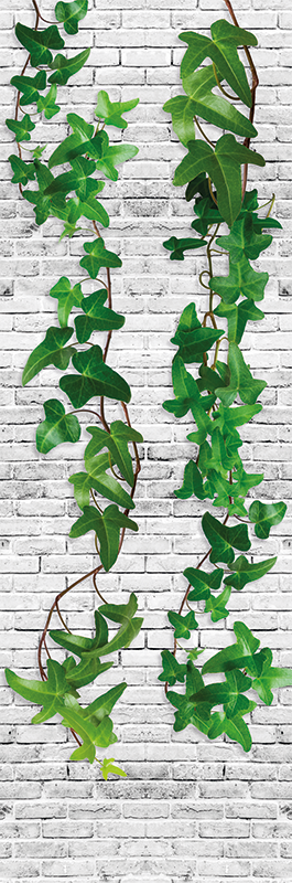 Nature vinyl carpet ivy wall - TenStickers