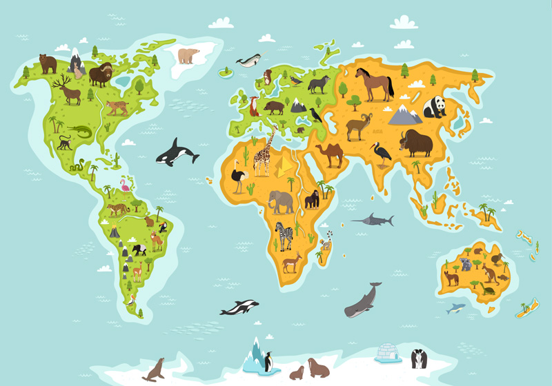 World map vinyl carpet with animals and plants - TenStickers